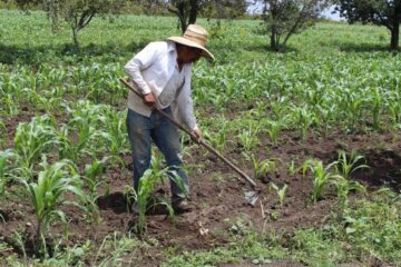 El campo de México sumido en la pobreza