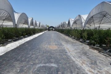 Garantizar la alimentación del país pasa por desafíos alarmantes