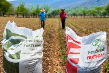 Aumento en costo de fertilizante pone en riesgo el abasto de alimentos