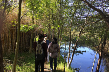 Agreden a defensores ambientales en montaña María Eugenia en San Cristóbal de las Casas