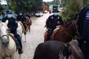 Con Agrupación de Caballería SSyPC coadyuva en combate del abigeato en Ocosingo