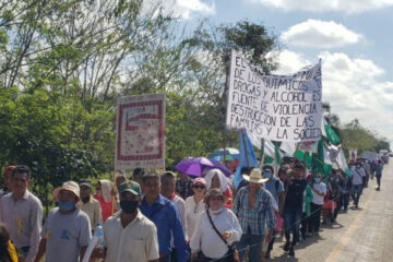 Exigen cierre de fábricas de aceite de palma africana