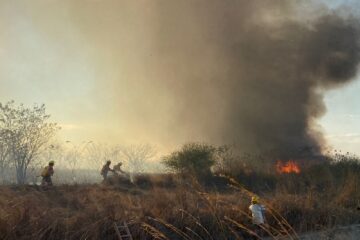 Incendio cerca del Aeropuerto Internacional Ángel Albino Corzo