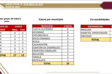 En las últimas horas, 29 casos de covid-19 en Chiapas