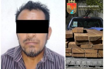 Logra FGE la detención de una persona por Ecocidio en Ocozocoautla