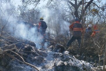 Cuatro incendios forestales activos se combaten en Chiapas