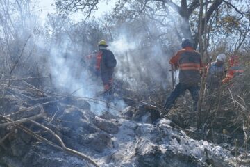 En Chiapas se reduce la superficie de hectáreas afectadas por incendios.