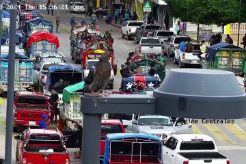 Primer cuadro de Tuxtla Gutiérrez, tomado por indígenas inconformes de Pantelhó