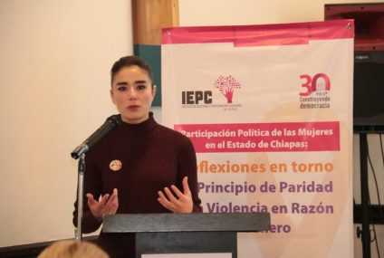 Violencia política contra mujeres, se concentra en el ámbito municipal: Dania Ravel, consejera del INE