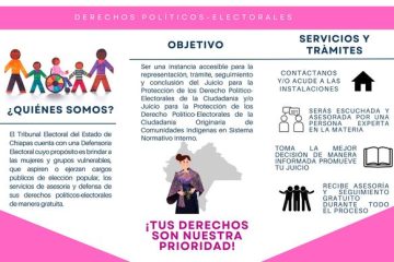 TEECH ofrece asesoría gratuita a mujeres que ejercen un cargo público