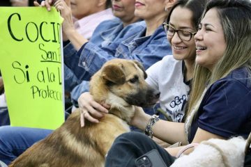 Votamos a favor del bienestar animal: Llaven Abarca