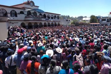 Jaque Con Dama *El hibrido de Oxchuc