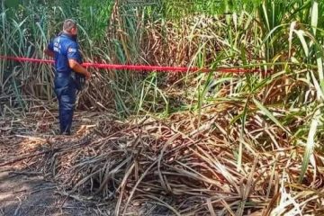 Localizan cuatro cuerpos de hombres ejecutados en Huehuetán, Chiapas