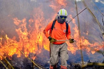 Registra Chiapas disminución de 96.19 % de incendios forestales, en comparación con 2024*